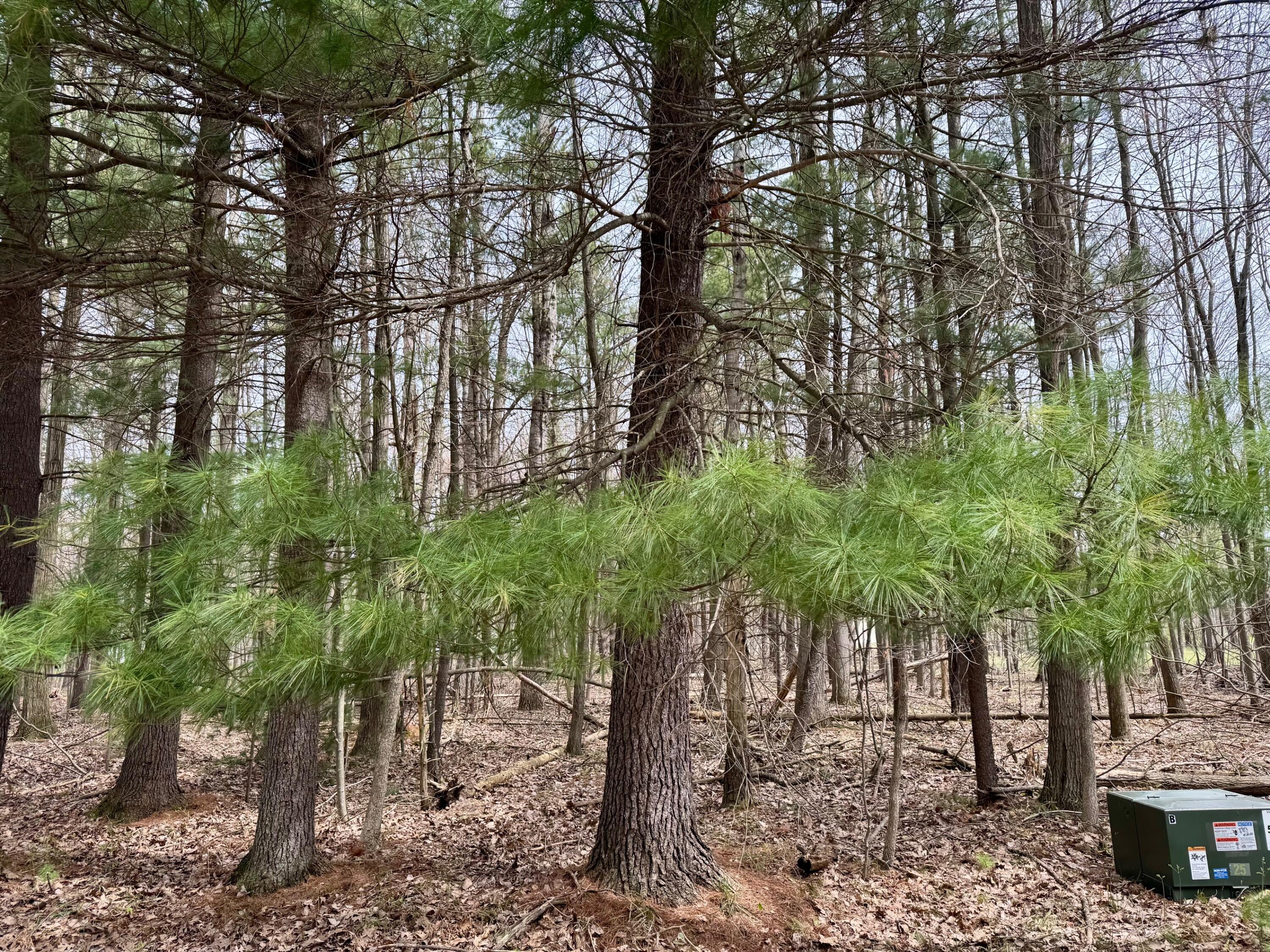 6810 E Clubhouse Drive