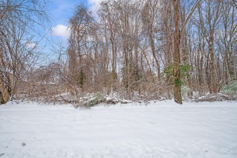 Photo of 1964 N Donna Drive, Stevensville, MI 49127 (MLS # 25060780)