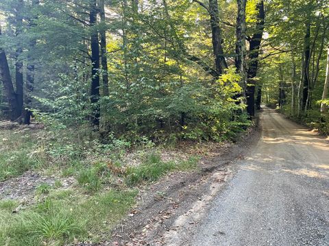 Photo of 10445 W Woodrow Road, Shelby, MI 49455 (MLS # 25043796)