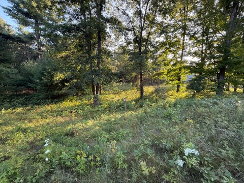 Photo for 16345 Mitchell Creek Trail