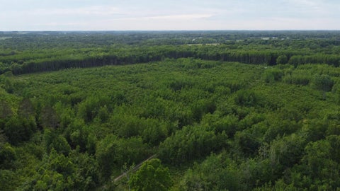 Photo of E Freesoil Road #40 acres, Free Soil, MI 49411 (MLS # 24030243)