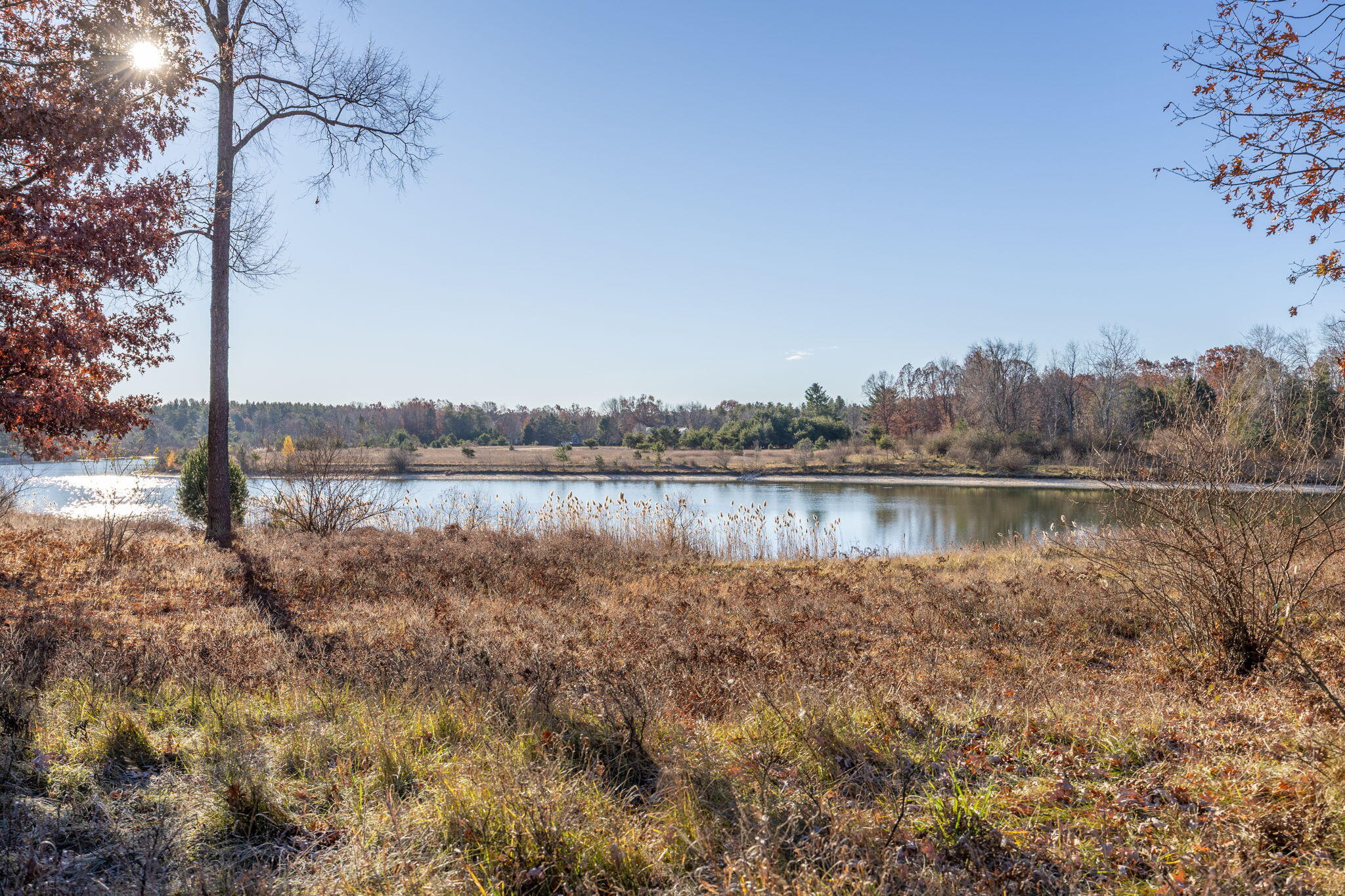 11509 Killarney Drive