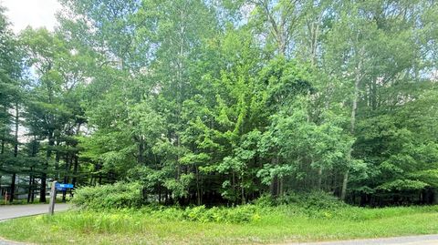 9760 Main Street Stanwood MI 49346