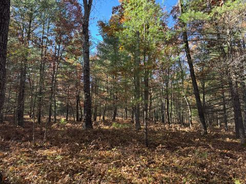 Photo of Parcel 2 County Line Road, Free Soil, MI 49411 (MLS # 26009978)