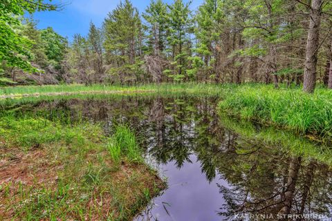 Photo of V/L E Kinney Rd, Branch, MI 49402 (MLS # 26032174)