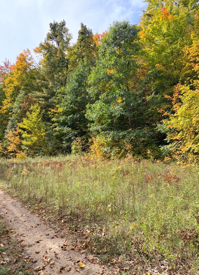 VL Bruun Trail