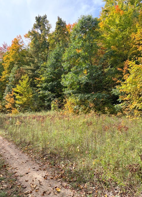 Photo for VL Bruun Trail