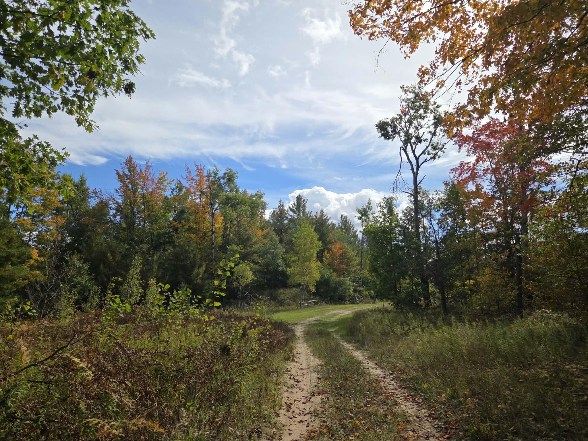 VL Bruun Trail - Photo 4