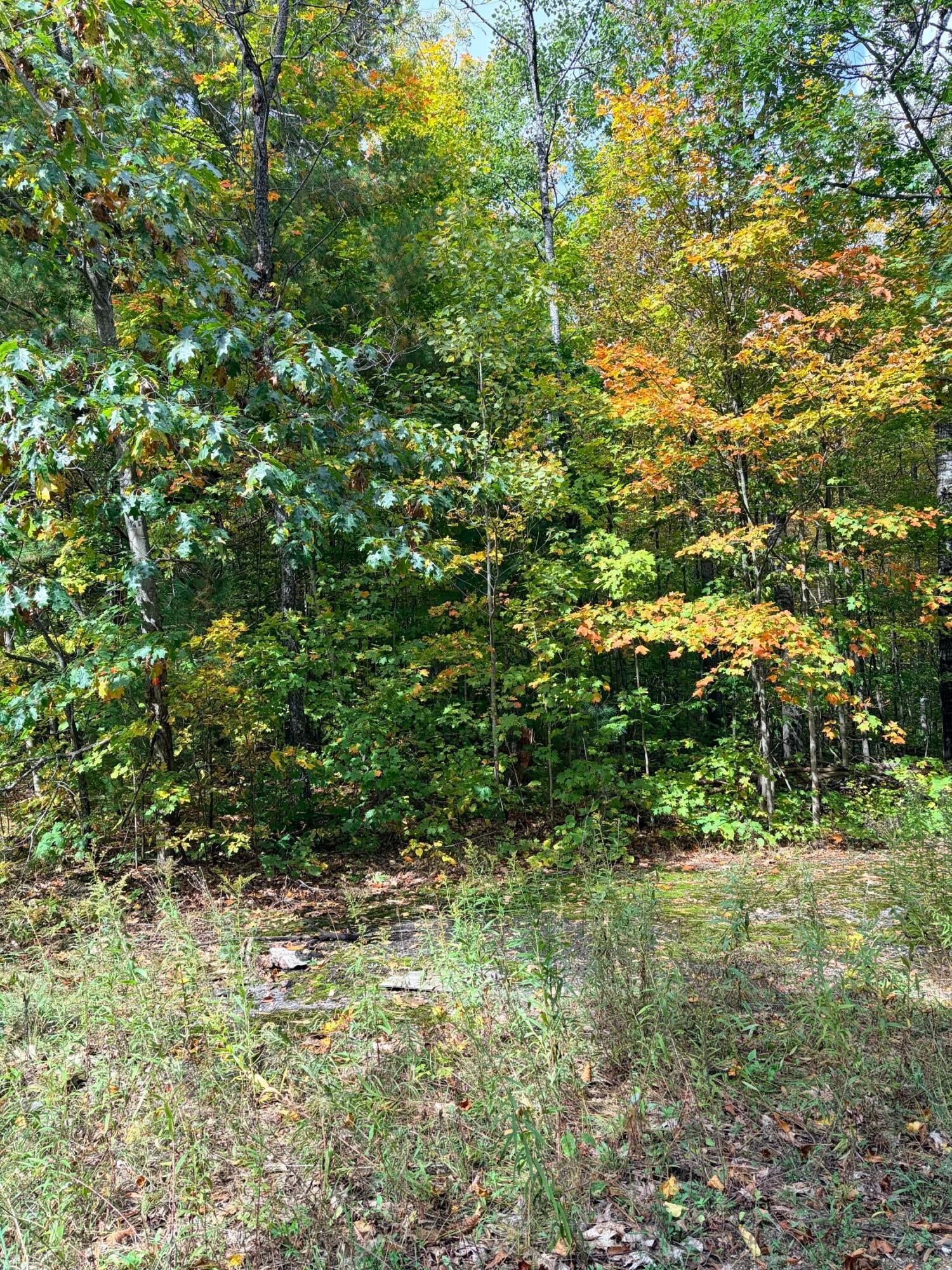 VL Bruun Trail - Photo 2