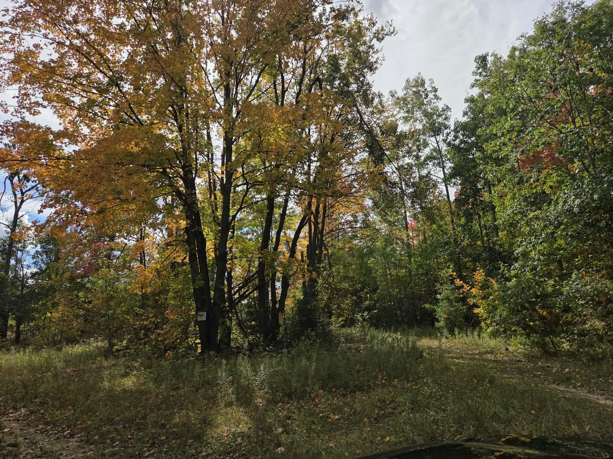 VL Bruun Trail - Photo 3