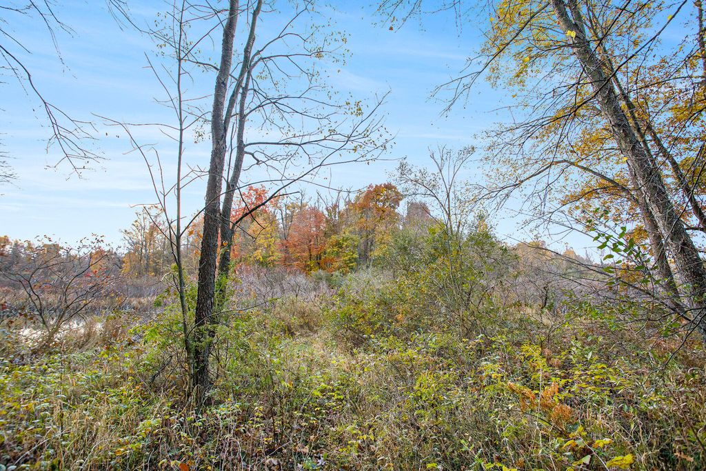 Photo of 15800 N Drive N, Marshall, MI 49068 (MLS # 25056208)