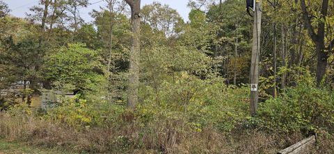 Photo of 5750 S Oneida Trail, New Era, MI 49446 (MLS # 25061602)