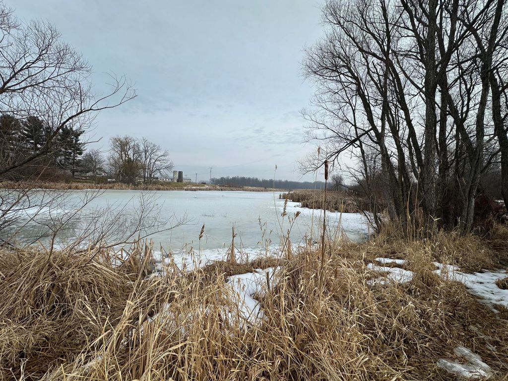 Photo of 7231 Onsted Highway, Onsted, MI 49265 (MLS # 26005869)