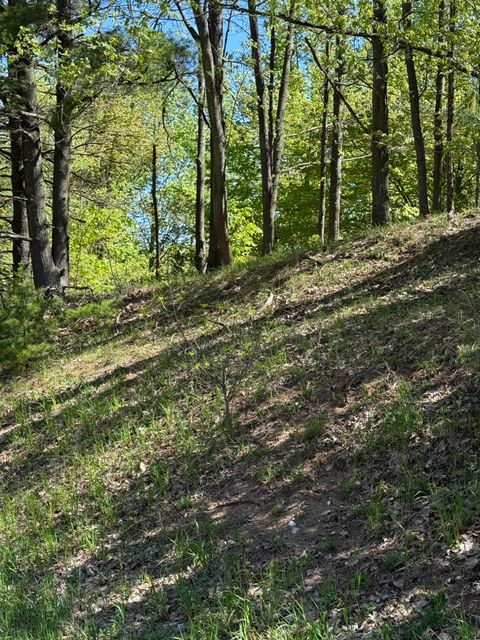 Photo of Sadie Lane, Bear Lake, MI 49614 (MLS # 26023724)