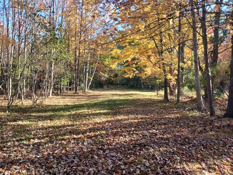 Photo of W Branch Street, Pentwater, MI 49449 (MLS # 25055539)