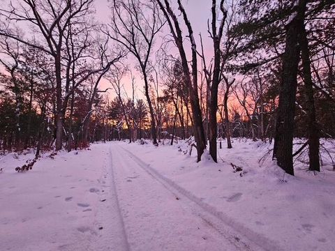 Photo of V/L 168th Avenue, Hesperia, MI 49421 (MLS # 26010111)