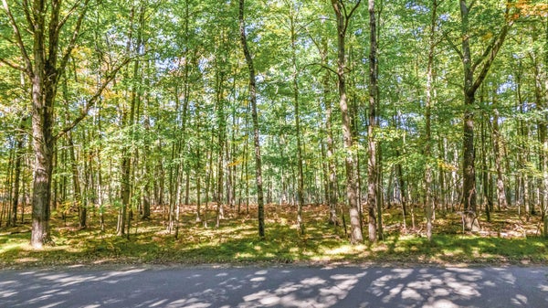 6231 FOX RUN CIR, STANWOOD, MI 49346 - Image 1fadade836c9773cd7b4ea854cdb14bb/3961497254