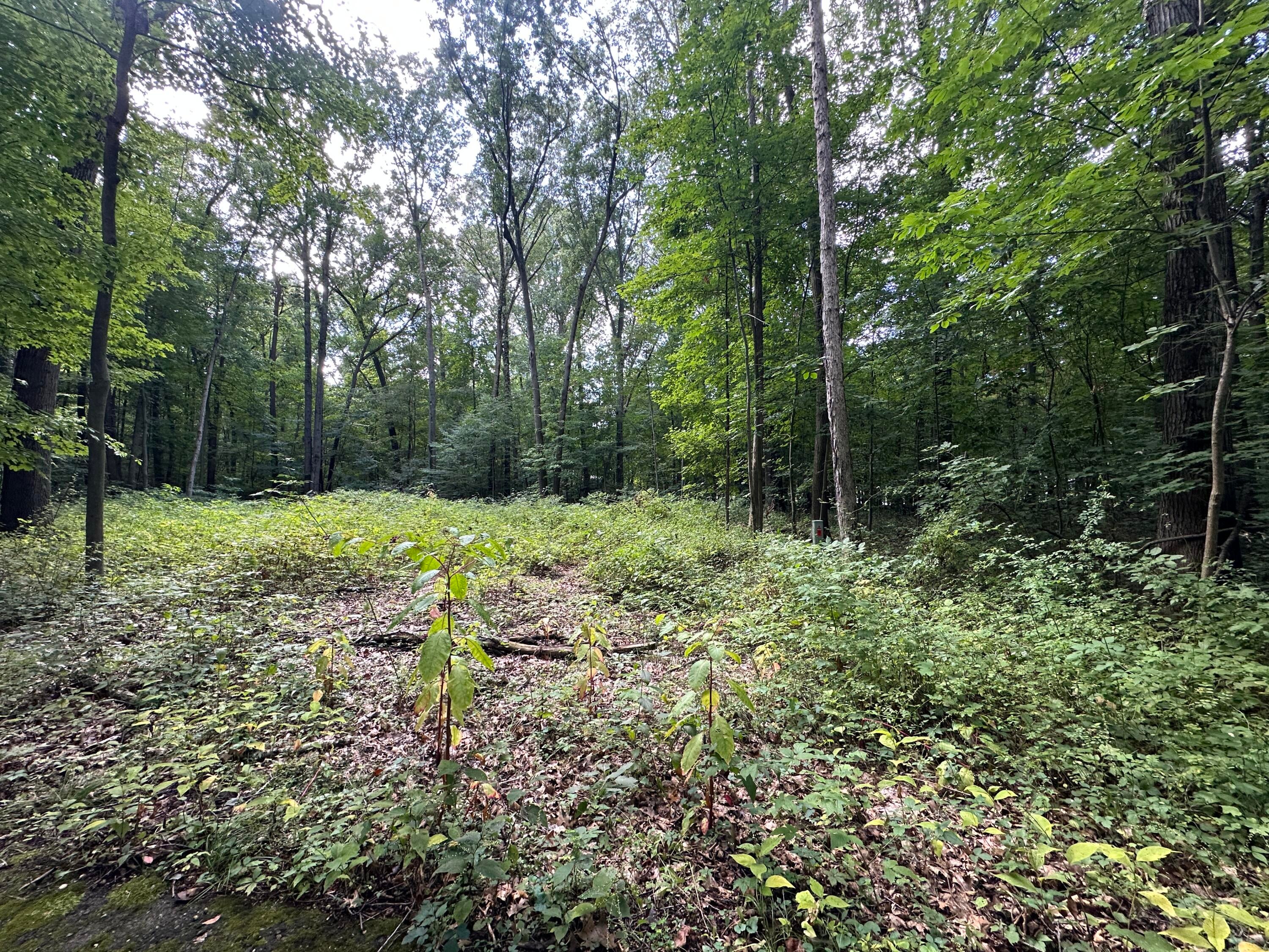Listing 172