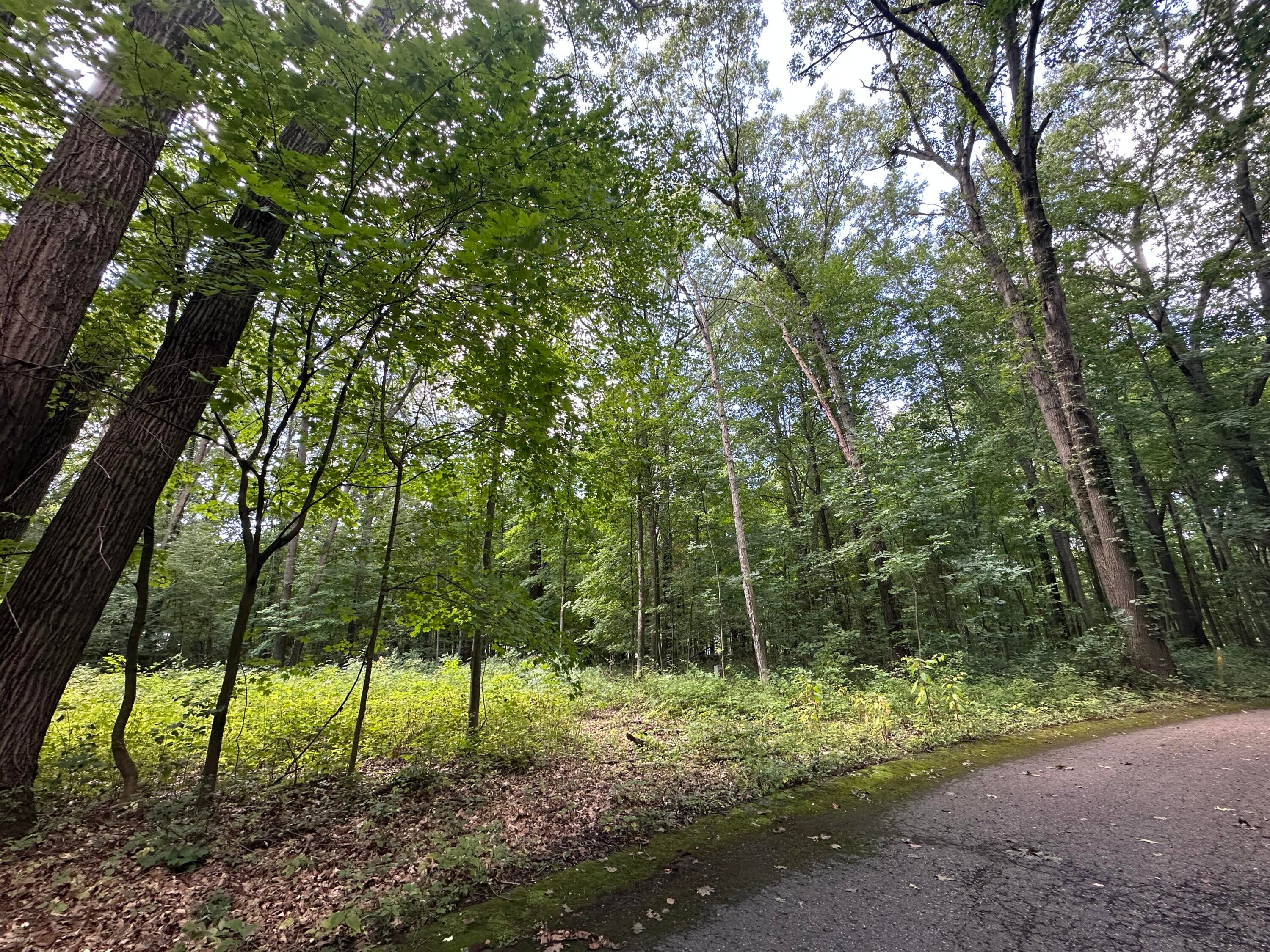Listing 172