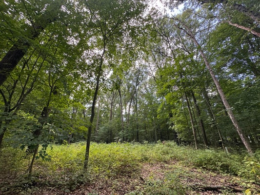 4540 ROSS DR, BENTON HARBOR, MI 49022 - Image 1fccf2d7d00c8c950f9eef4e5360f02a/569885167