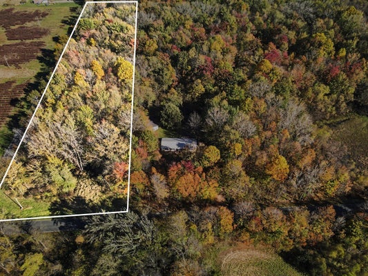 PARCEL A CR 673, BANGOR, MI 49013 - Image 2064e037e7db81e314c70bede20faabf/3496773432
