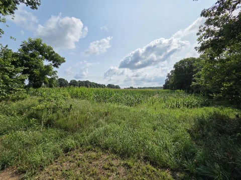 Photo for 13 Mile Rd (parcel 5)