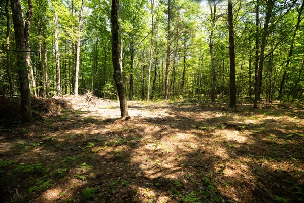 11 W JEFFERSON RD, HART, MI 49420 - Image 20e4e403b497d4fe040d9bb9b5ab6958/3337403060