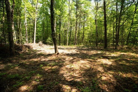 Photo of V/L 11.4A W Jefferson Road, Hart, MI 49420 (MLS # 26046897)