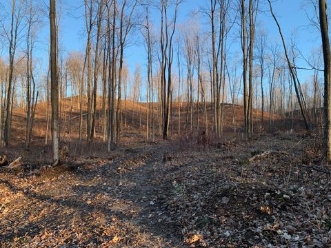 Photo of 0 Off of Chief Road, Bear Lake, MI 49614 (MLS # 26033444)