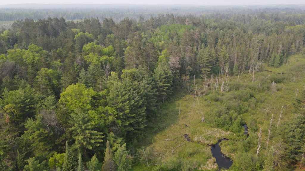 Photo of Parcel B Cherry Creek Trail, Grayling, MI 49738 (MLS # 26005031)