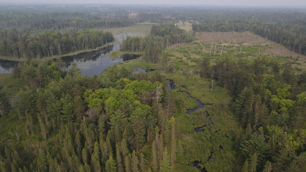 Photo of Parcel B Cherry Creek Trail, Grayling, MI 49738 (MLS # 26005031)