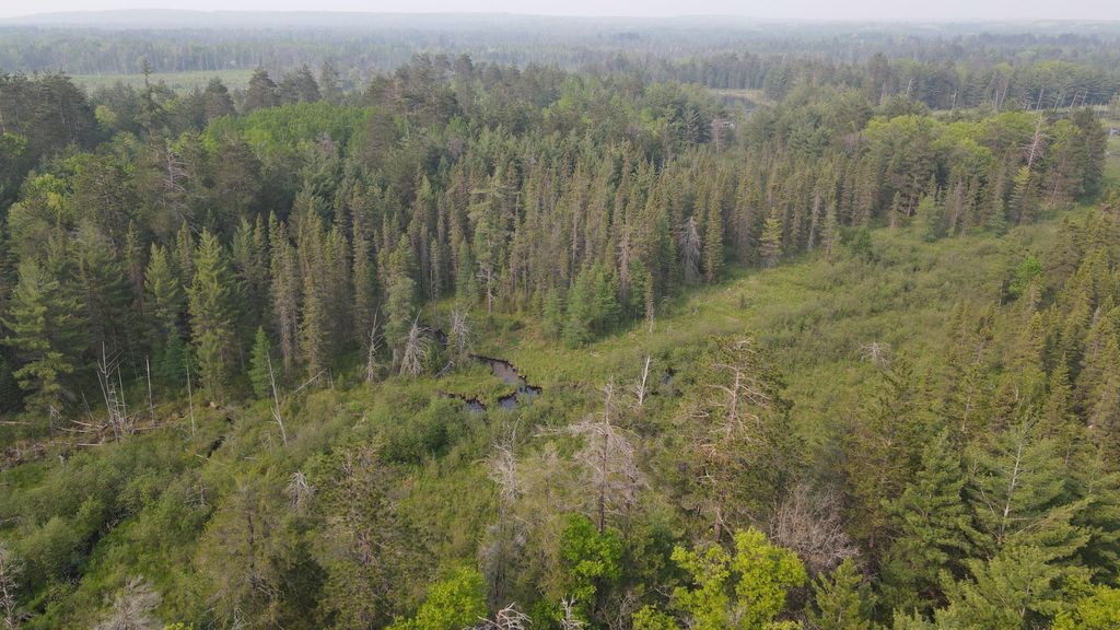 Photo of Parcel B Cherry Creek Trail, Grayling, MI 49738 (MLS # 26005031)