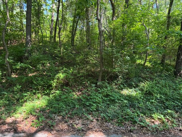 Grand Beach, Michigan 49117, United States, ,Land,Active,165230