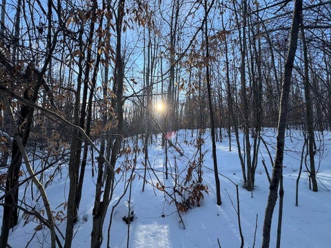 Photo for 80 acres Galbrith Road