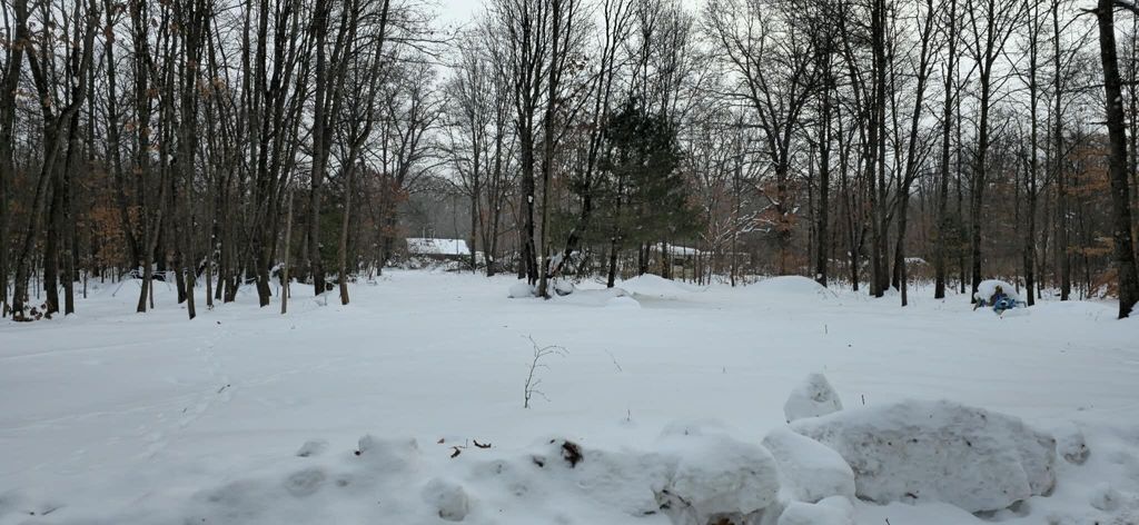 Photo of 50519 County Road 388, Grand Junction, MI 49056 (MLS # 26005343)