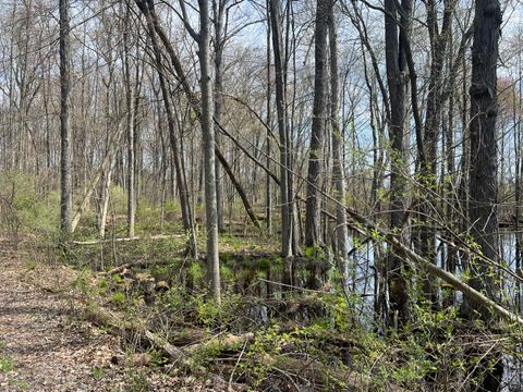 Photo of Waterloo Munith Road, Grass Lake, MI 49240 (MLS # 26017090)