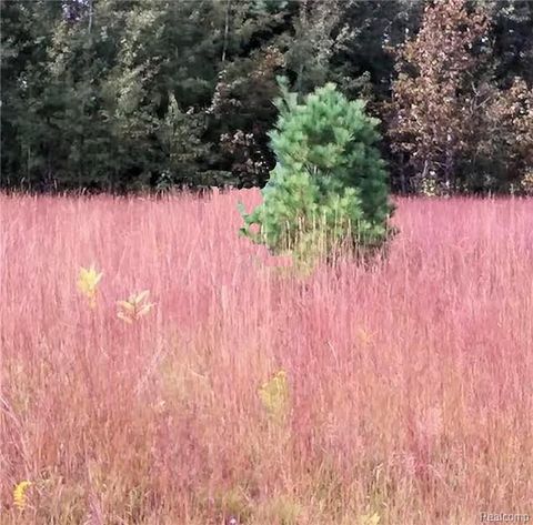 Photo of Westwood Drive, Oscoda, MI 48750 (MLS # 26017086)