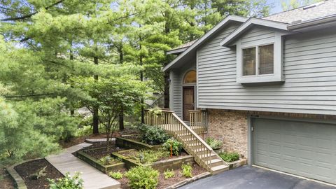 Photo of 10051 Weko Drive, Bridgman, MI 49106 (MLS # 25043801)