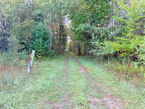 Photo of V/L E 38 Road, Cadillac, MI 49601 (MLS # 25050062)