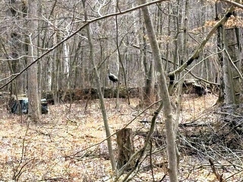 Photo for V/L W Prairie Road