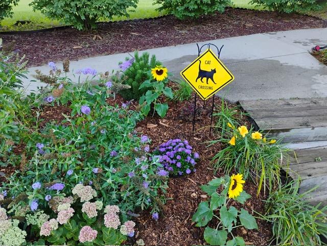 Kalamazoo, Michigan 49009, United States, 3 Bedrooms Bedrooms, ,3 BathroomsBathrooms,Residential,Pending,4182