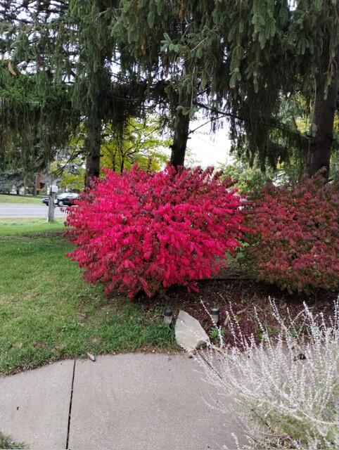 Kalamazoo, Michigan 49009, United States, 3 Bedrooms Bedrooms, ,3 BathroomsBathrooms,Residential,Pending,4182