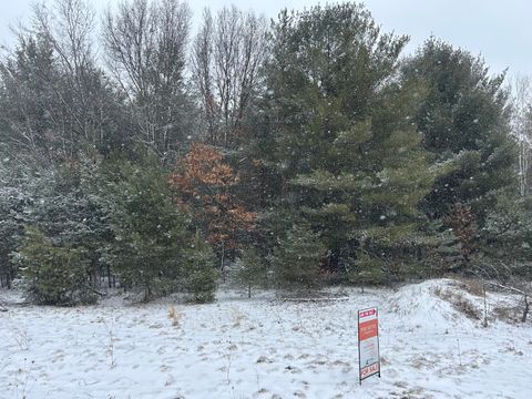 Photo of 9530 Federal Road, Howard City, MI 49329 (MLS # 26000863)