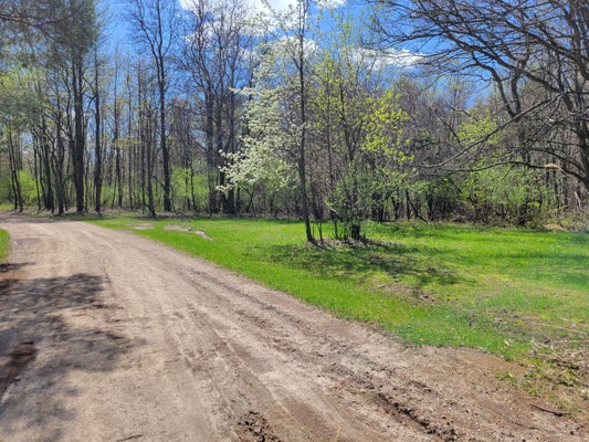 24228 MIAMI AVE, GRAND JUNCTION, MI 49056 - Image 25239b8bf1bfcc3dc0c2d40389c43cc1/3019820909