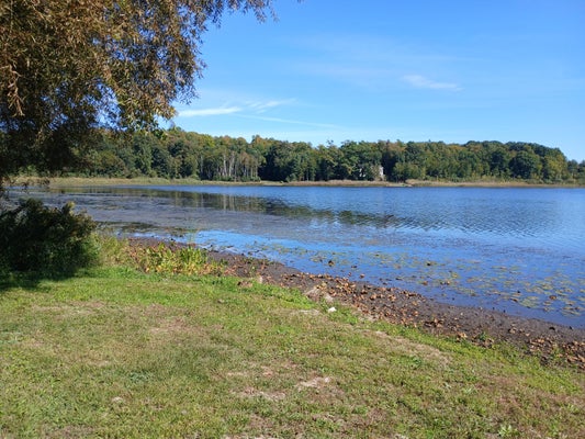5382 W OAK POINT RD, LUDINGTON, MI 49431 - Image 25cda67c57ebd1bdf09b44ec0fd4ad21/255657717