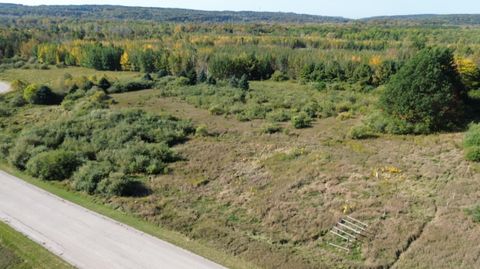 Photo of Lots 4,5,6 Fox Lane, Benzonia, MI 49616 (MLS # 25056067)