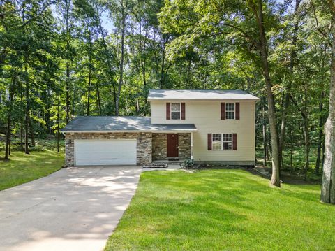 12095 Dubois Drive Canadian Lakes MI 49346