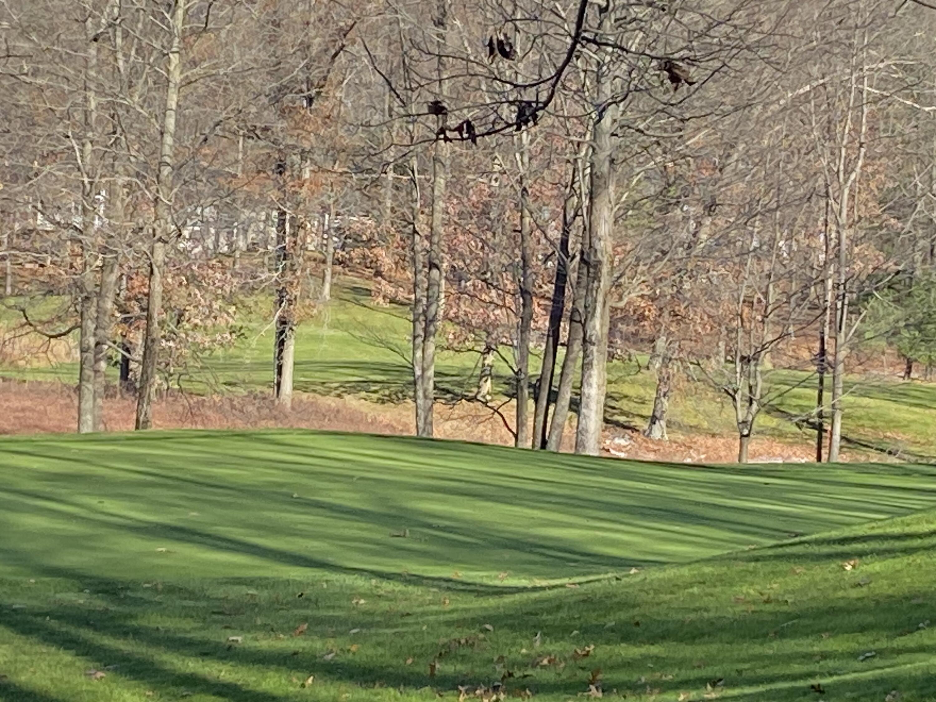 8975 Whispering Lane