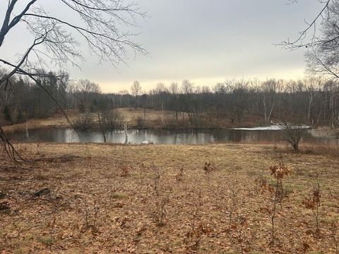 Photo of 10300 E 24th Street, Reed City, MI 49677 (MLS # 26020934)