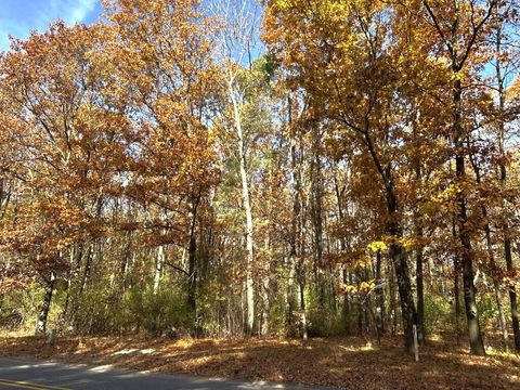 Photo of V/L Burroughs Street SE, Lowell, MI 49331 (MLS # 25057353)